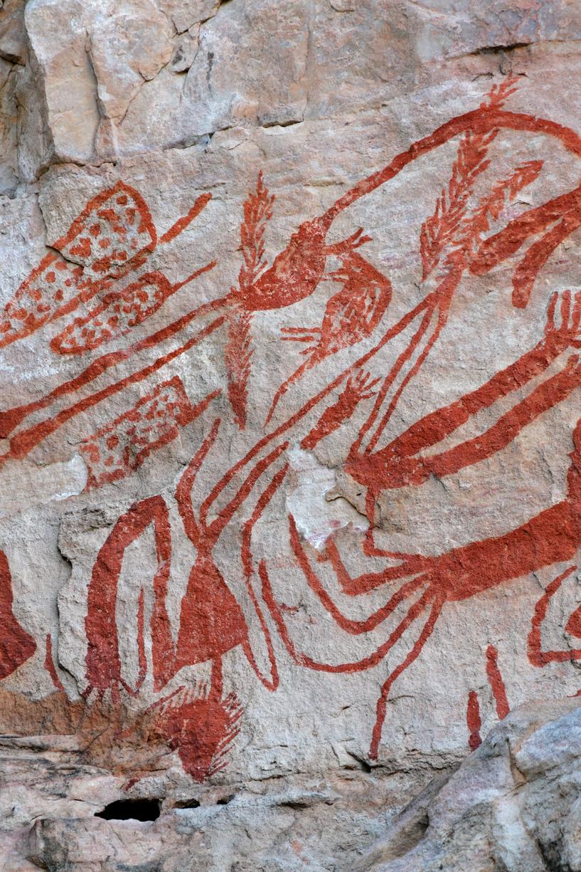 カカドゥ国立公園 古代壁画とイリエワニ