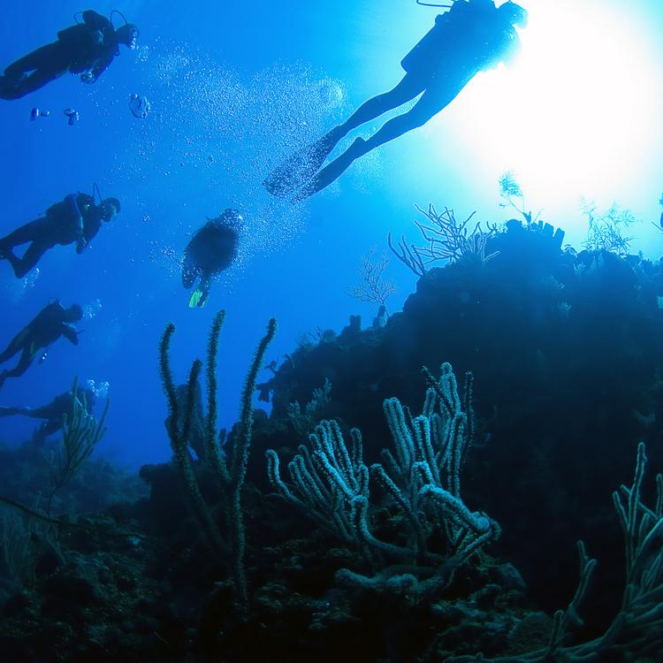 プロビデンシアレス島 世界ベストアイランド1位の島